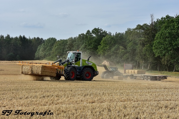 Meijer Holland Photo 4