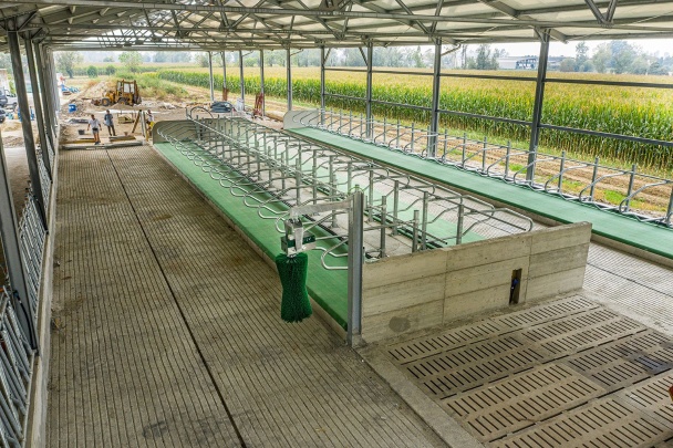 AGRICOW Photo 2