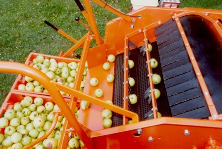 foj_Company_Tab_whoAreWe_title