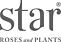 Star® Roses and Plants