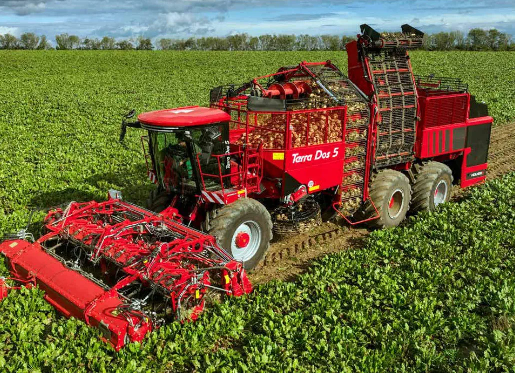 红甜菜收割机- TERRA DOS 5 series - HOLMER Maschinenbau GmbH/荷马