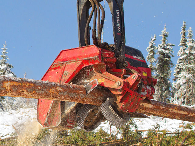 修整伐木机头 / 带打枝机