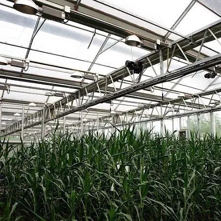温室照明系统 Sunmax Greenhouse Technology Co Ltd 蓝色 红色 温室照明系统 Sunmax Greenhouse Technology Co Ltd 蓝色 红色