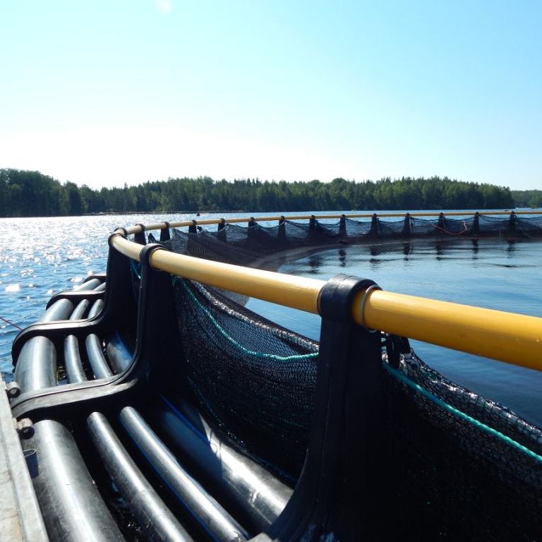 浮动鱼类养殖网箱 / 塑料 / 圆形