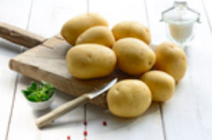 极早熟土豆种子
