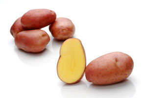 极早熟土豆种子 1