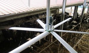 农用建筑通风风扇