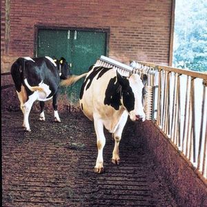 畜牧养殖刷子 1