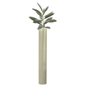 树木栽培种植管 1
