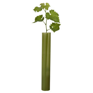 葡萄园种植管