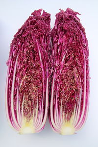早熟卷心菜种子