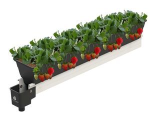 塑料花盆