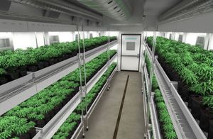 植物生长种植箱