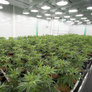 植物生长种植箱