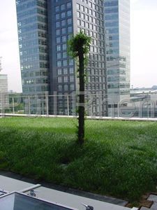 珍珠岩栽培基质