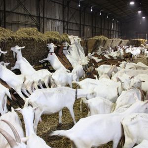 工作台 1