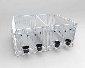 牛犊饲养笼舍 1