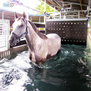 水上跑马场