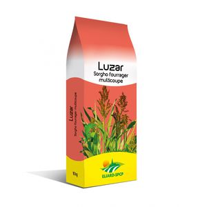 高粱动物饲料