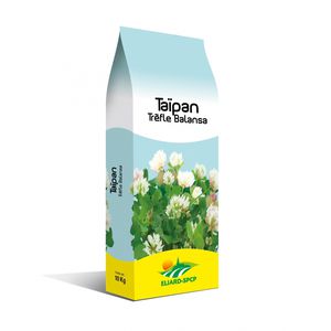 苜蓿动物饲料