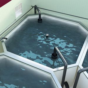八角形水产养殖池 1
