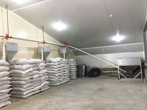 禽类漏斗喂食器