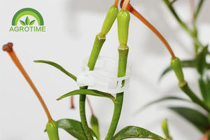 塑料植物夹 1