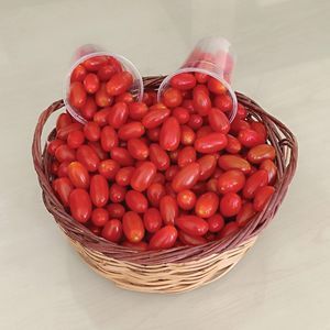 红色小蕃茄种子