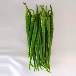 早熟菜椒种子 1