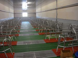 农业建筑用漏粪板 1