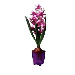 装饰花盆