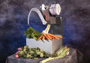 蔬菜扎捆机