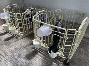 畜牧养殖饲养笼舍