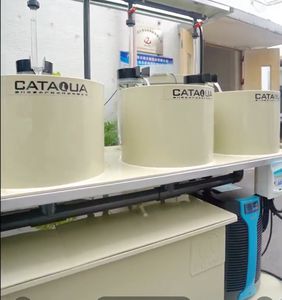 硅藻类动物鱼卵孵化器