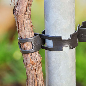 葡萄园扎带