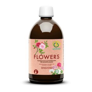花卉生物刺激素 1