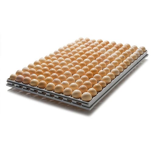 鸡蛋孵化蛋盘 - SmartTray™ - Pas Reform Hatchery Technologies - 塑料