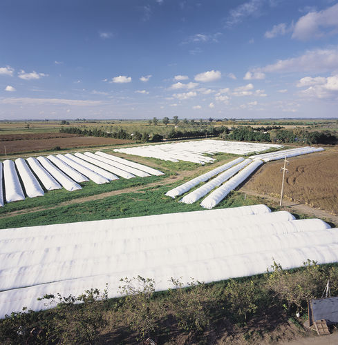 谷物筒仓袋 - Silo bag - CPS Agri Limited – CROP PROTECTION SOLUTIONS.