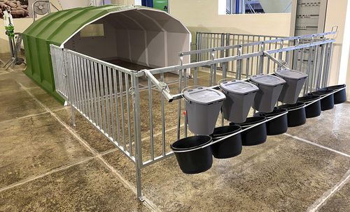 畜牧养殖饲养笼舍 - AGRIBOX 12 - AGRITECH S.R.L. - 牛犊 / 共用 / 钢