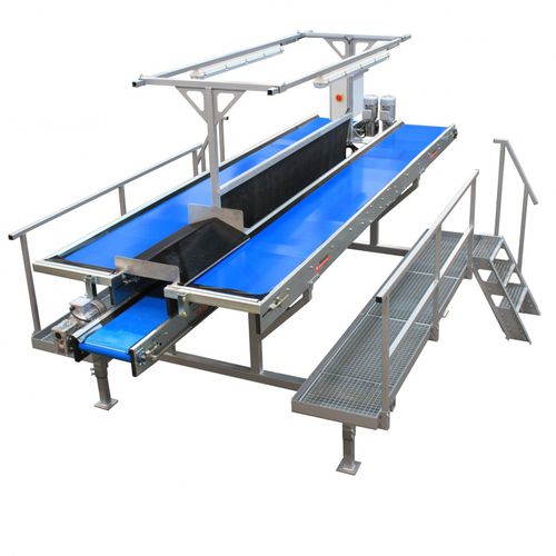 蔬菜分拣机 - IB 500-50+ - Allround Vegetable Processing B.V. - 目测检查