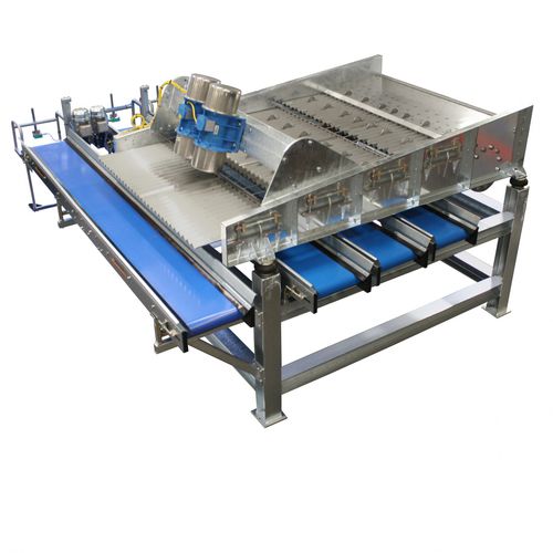 检查分级机 - L 200 - Allround Vegetable Processing B.V.