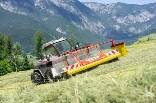 毯式搂草机 - MERGENTO F ALPIN - PÖTTINGER Landtechnik GmbH - 中央堆放式