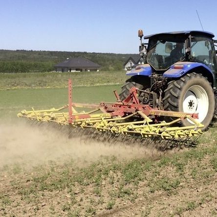齿式耙 - AS 600 M1 - APV - Technische Produkte GmbH/阿伯伟 - 弹齿 / 折叠