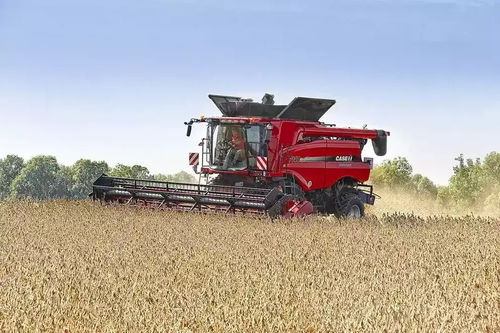挠性割台 - 3020 - CASE IH/凯斯农业机械 - 谷物 / 菜豆类 / 液压调节
