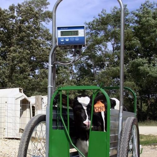 牛用秤 - Caf Cart® - Digi-Star International - 数字 / 移动式 / 带保持架