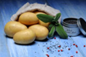 半早熟土豆种子 - Annalena - EUROPLANT Pflanzenzucht GmbH - 食用 / 长 / 抗疮痂病