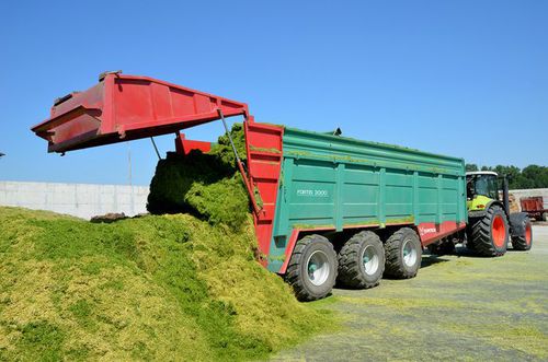 自卸拖车 - FORTIS 3000 - Farmtech d.o.o. - 3车轴 / 谷物 / 23吨