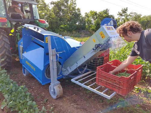四季豆收割机 - RF3 - Fontana S.r.l. - attrezzature agricole - 辣椒 / 拖拉机悬挂 / 1行