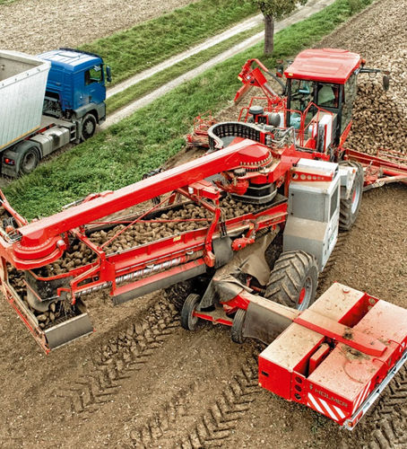 红甜菜收割机 - TERRA FELIS 2 ECO - HOLMER Maschinenbau GmbH/荷马机械 - 自走式