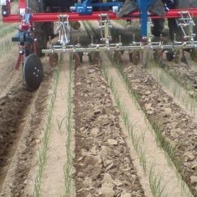 前端悬挂行间中耕机 - DUO - K.U.L.T. Kress Umweltschonende Landtechnik GmbH - 除草 / 控制深度